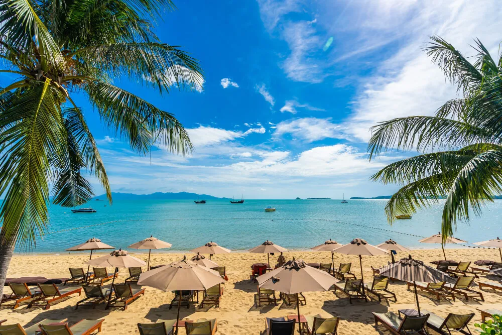 Explore Caribbean, Caribbean