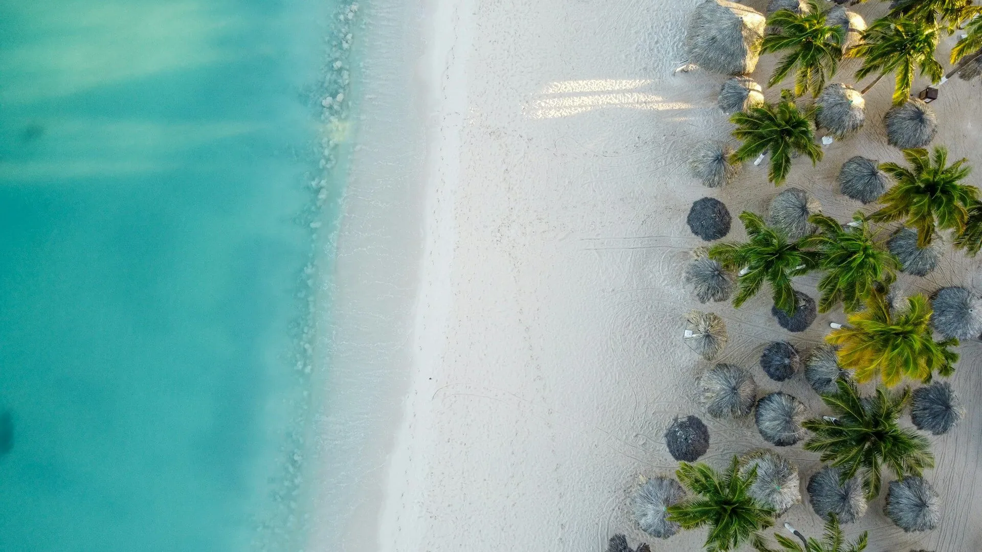 Explore Aruba, Aruba